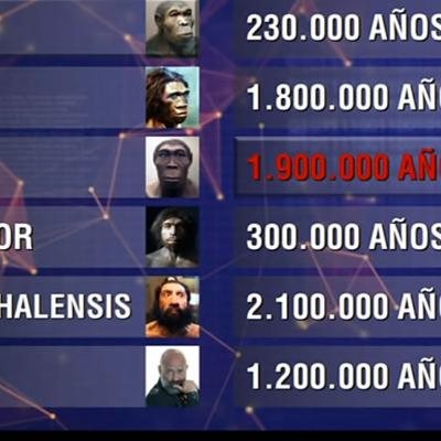 Imagen0003